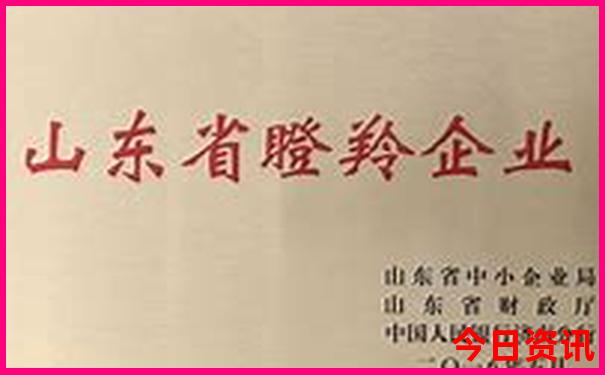 齐河周边游玩的好地方
